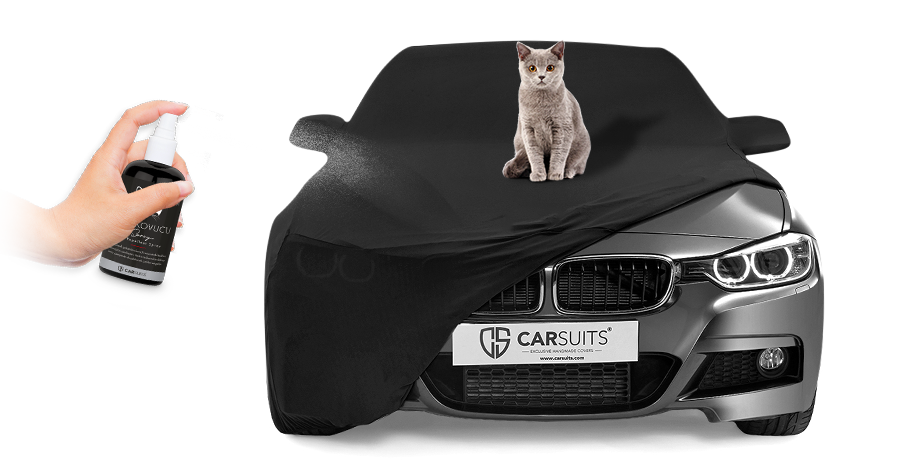 Carsuits