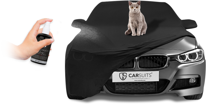 Carsuits