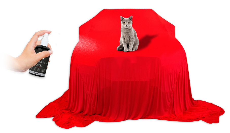 Carsuits